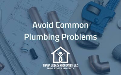 Avoiding Common Plumbing Problems